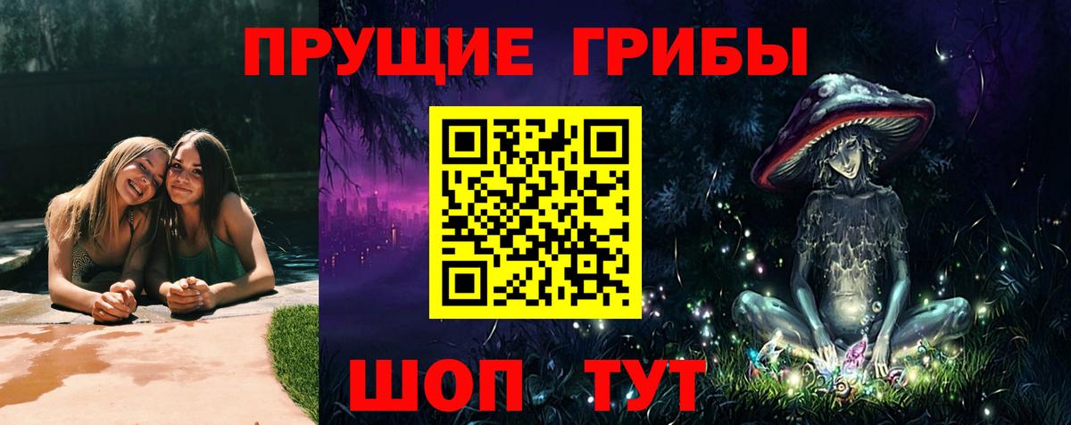 Кизилюрт  Псилоцибиновые грибы мицелий  Вход с VPN 